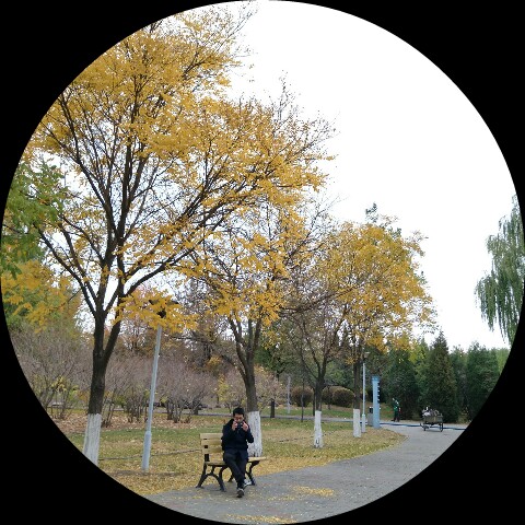 Picsart profile picture for @traction